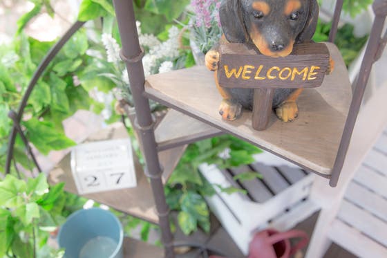 渋谷駅 表参道駅より徒歩6分 ハワイの雰囲気を感じられるかわいいカフェを貸切 女子会 ママ会 誕生日パーティにおすすめ スペースマーケット