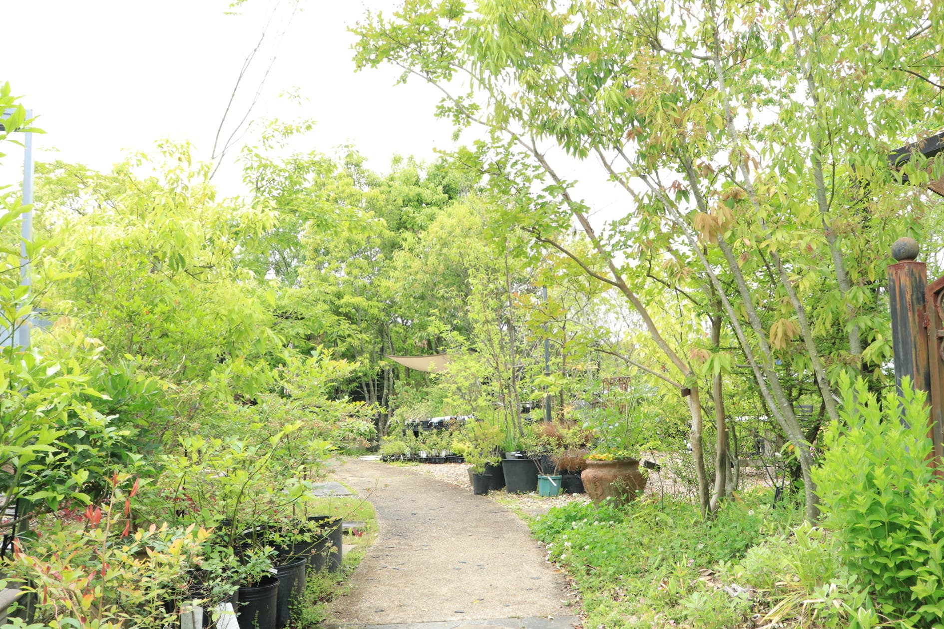 Bloom and Broom スペースマーケット