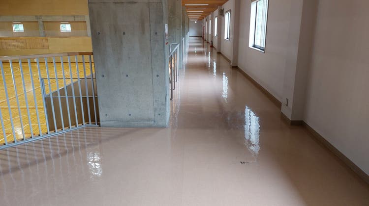 走路(1周160m)の写真1