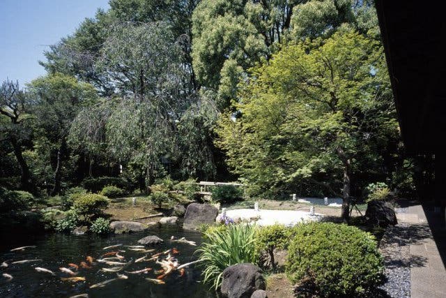 撮影限定 1万坪の日本庭園を贅沢に貸切って本格撮影 スペースマーケット 撮影限定 1万坪の日本庭園を贅沢に貸切って本格撮影 スペースマーケット