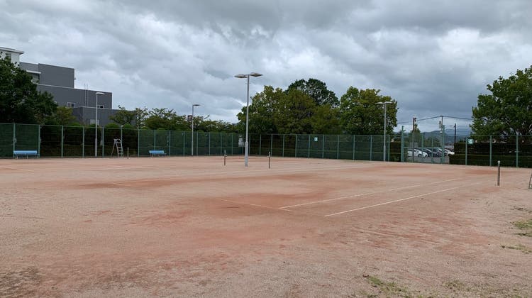 白石中央公園テニスコートの写真1
