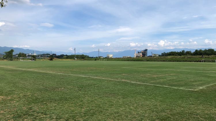 サッカー場(天然芝)の写真1