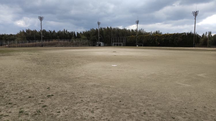 運動場の写真1