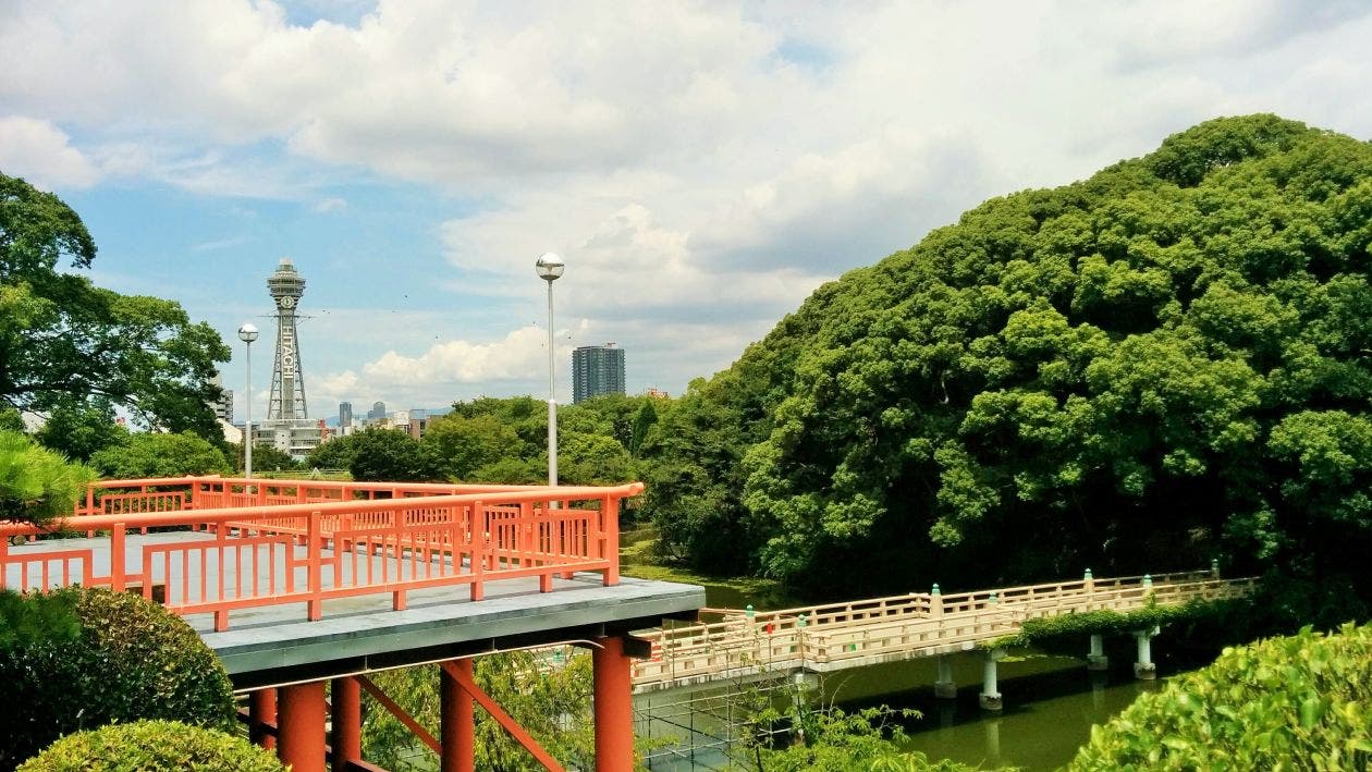 天王寺駅から 徒歩5分 天王寺公園の豊かな緑に囲まれたオンリーワン・スペース / 大阪 寺