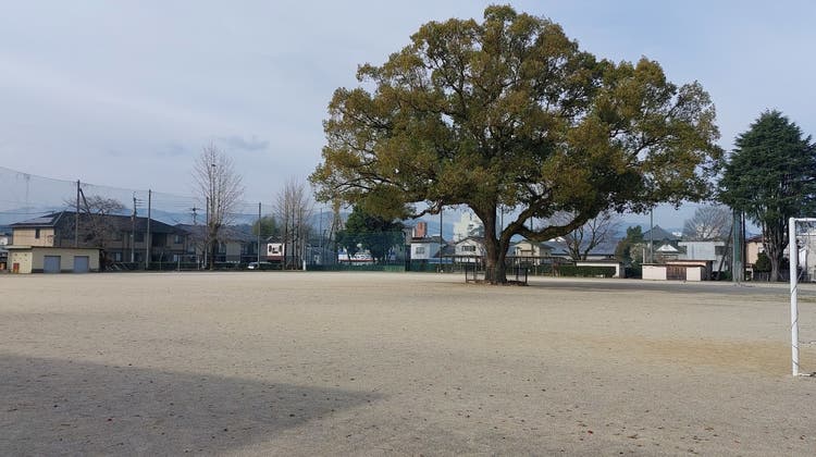 人吉東小学校 屋外運動場の写真1