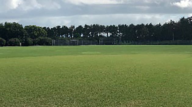 ふれあい広場の写真1