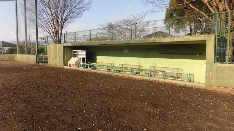 野球場の写真1