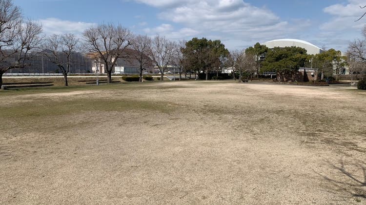 多目的広場(オンライン予約対象外)の写真1