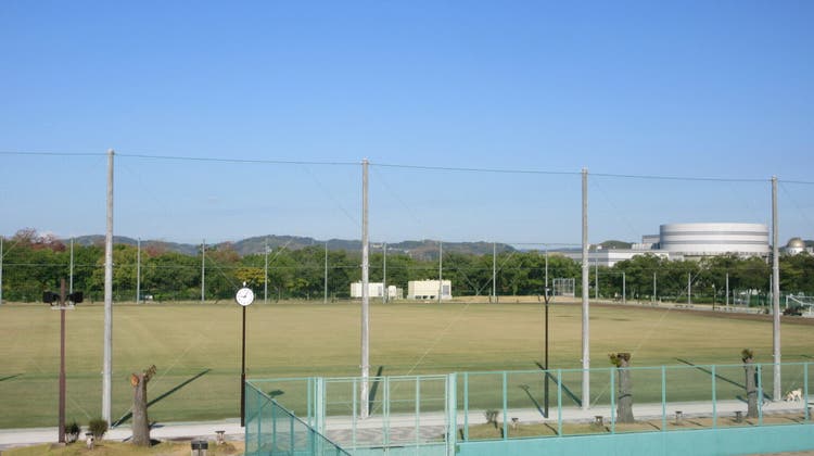 サッカー・ラグビー場(天然芝)(空き状況照会のみ)の写真1