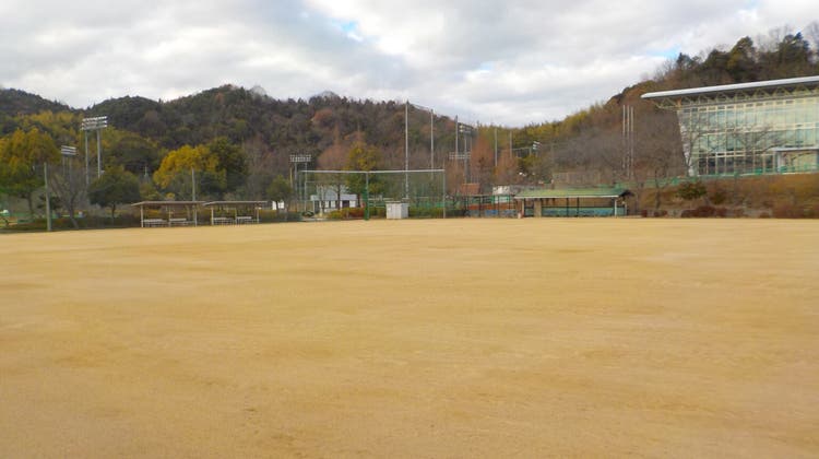 多目的広場の写真1