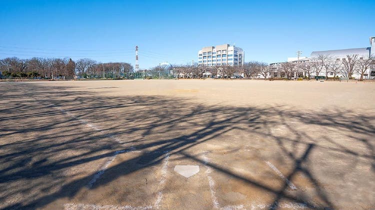 運動公園(グラウンド)の写真1