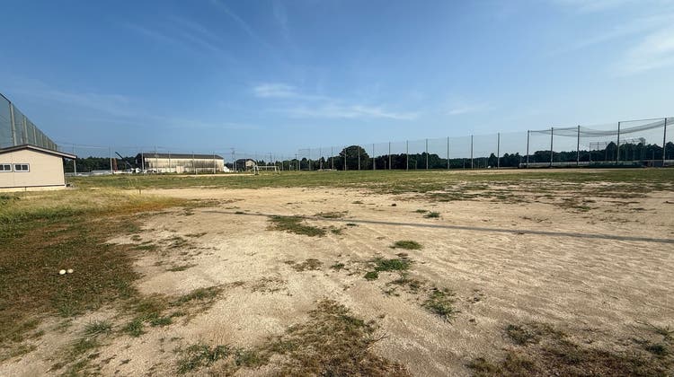 校庭(第2グラウンド)の写真1