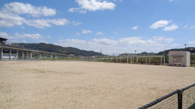 多目的広場の写真1