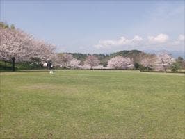 グラウンドゴルフ場（空き状況のみ照会）