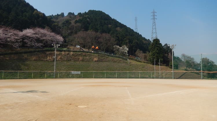 多目的広場の写真1