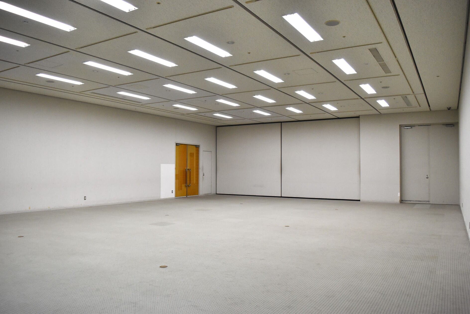 展示室（空き状況のみ照会）