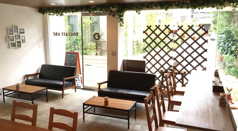 下北沢 新代田 ペットok 一面のガラス窓で日差しが暖かいドッグカフェ Dog Cafe Abcの評価とレビュー スペースマーケット