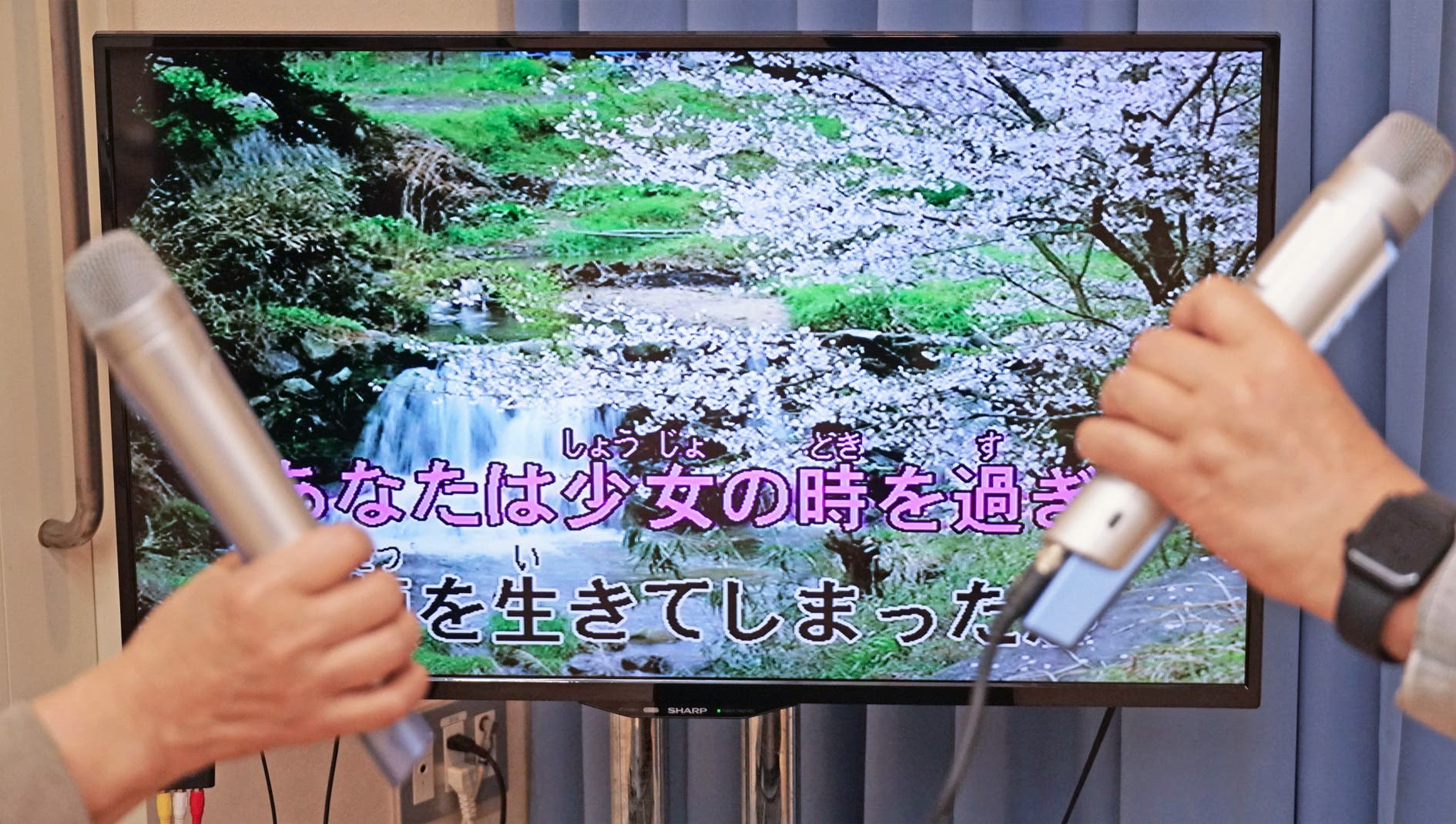 カラオケの画像1