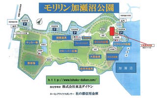 サッカー場
