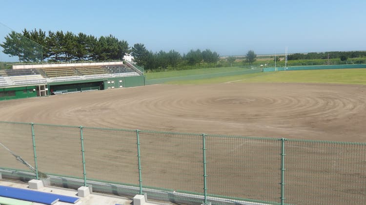 野球場の写真1