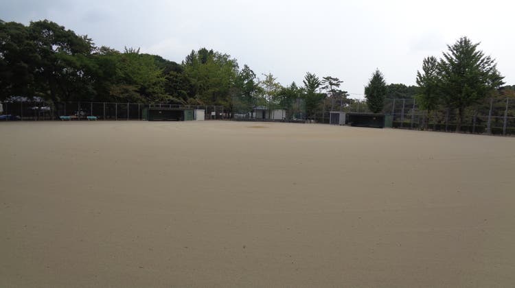 軟式野球場の写真1