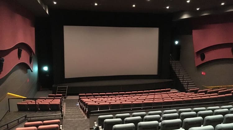 【お台場 315席】映画館で、イベント・会社説明会・株主総会・講演会の企画はいかがですか？の写真1