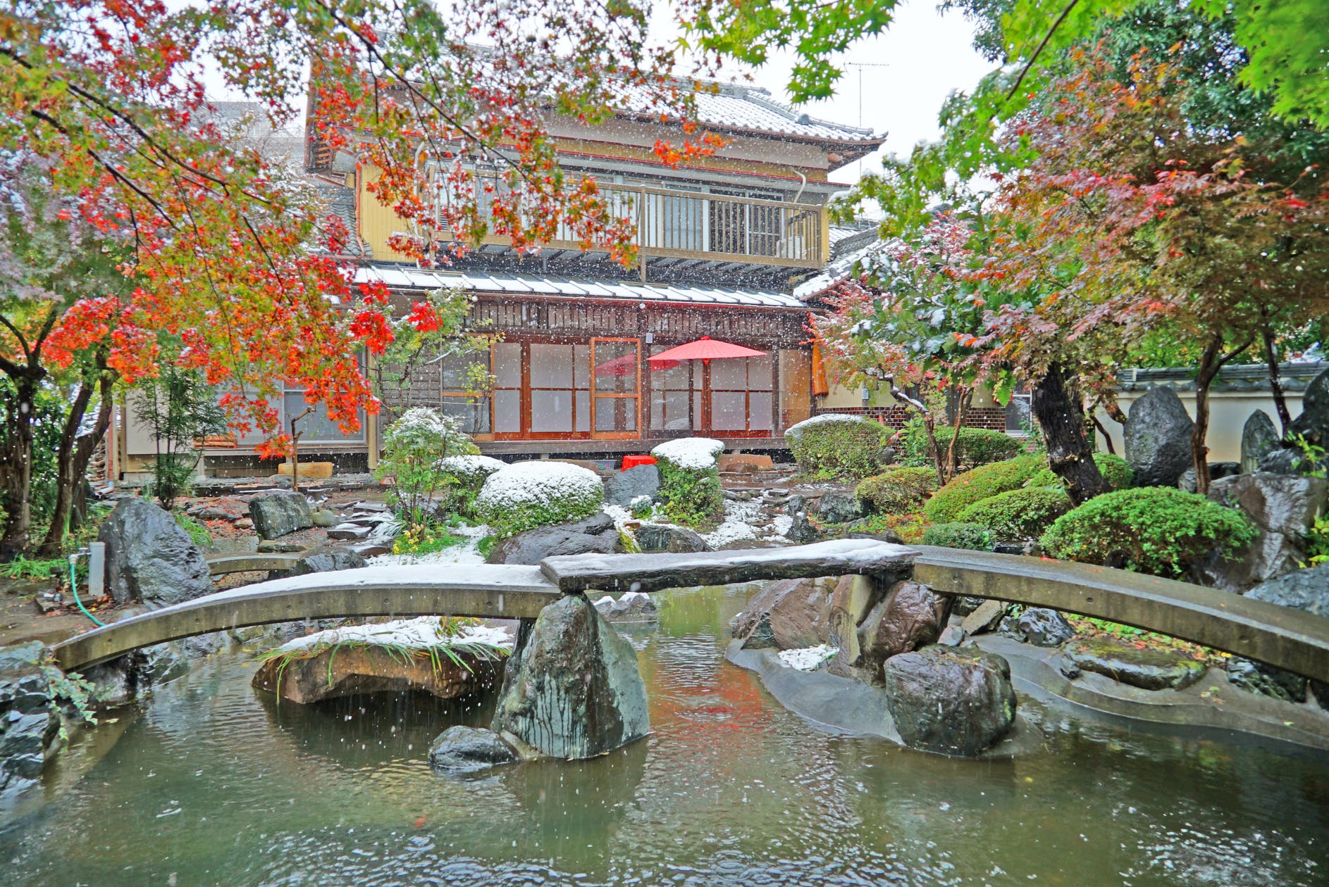 横浜【日本庭園と古民家】飯田屋〜iidayajapan〜東京から20分、竹林を抜けると別世界。四季折々の花々がお迎え致します〜