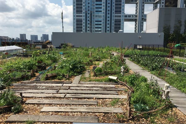 東京テレポート駅周辺 50人程度で貸切okな個室レンタルスペース お店まとめ スペースマーケット 東京テレポート駅周辺 50人程度で貸切okな個室レンタルスペース お店まとめ スペースマーケット