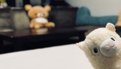 映画観賞 映画館 東武練馬 パーティー 貸切 映画観賞 映画館 東武練馬 パ 映画観賞 映画館 東武練馬 パーティー 貸切 映画観賞 映画館 東武練馬 パ