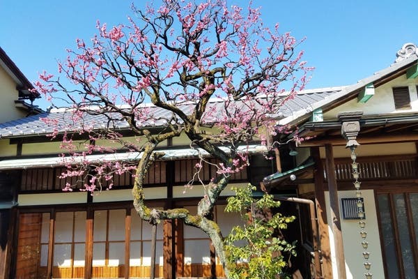 文京区の古民家 お寺 伝統を感じるレンタルスペースまとめ スペースマーケット
