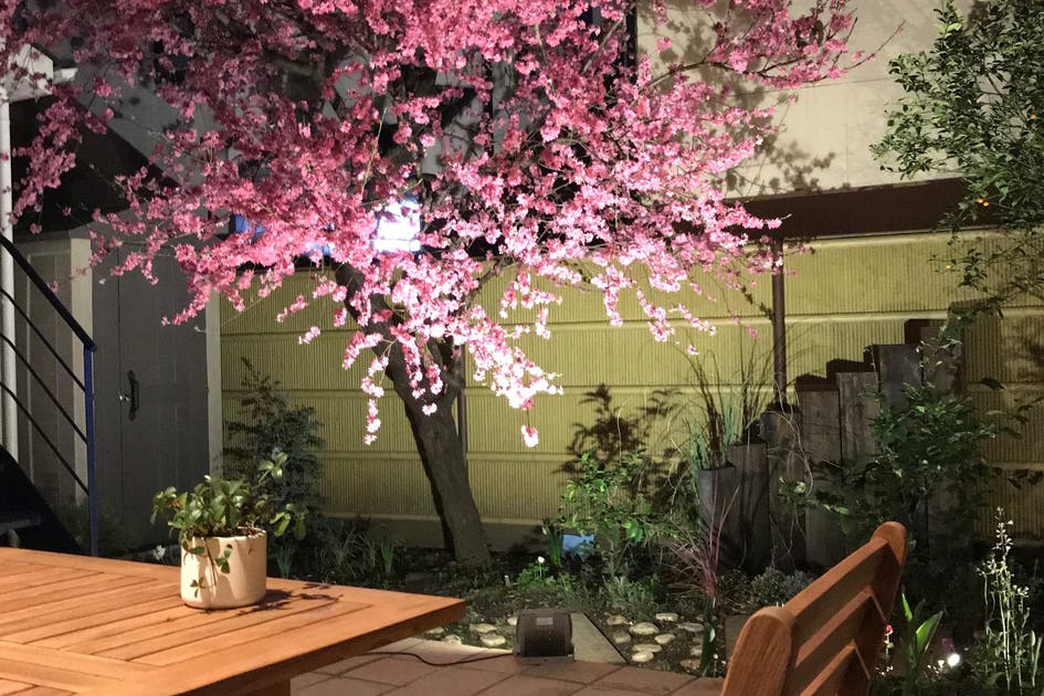 豊島園 練馬春日町 平和台 インドア花見におすすめ 庭付きカフェスペース 女子会 ママ会 誕生日会 撮影 駐車場付き スペースマーケット 豊島園 練馬春日町 平和台 インドア花見におすすめ 庭付きカフェスペース 女子会 ママ会 誕生日会 撮影 駐車場付き スペースマーケット