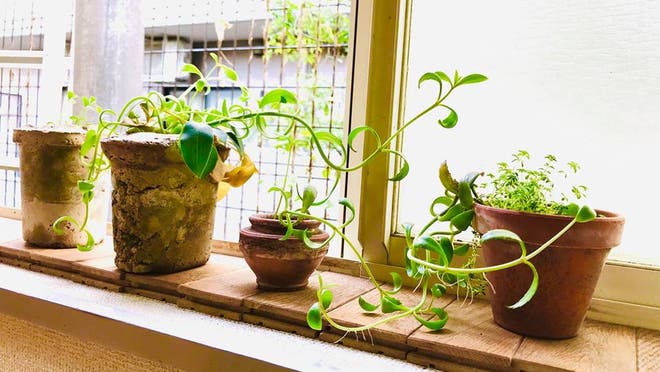 明大前駅周辺 カップルにおすすめの個室デートができるレンタルルーム スペースマーケット 明大前駅周辺 カップルにおすすめの個室デートができるレンタルルーム スペースマーケット