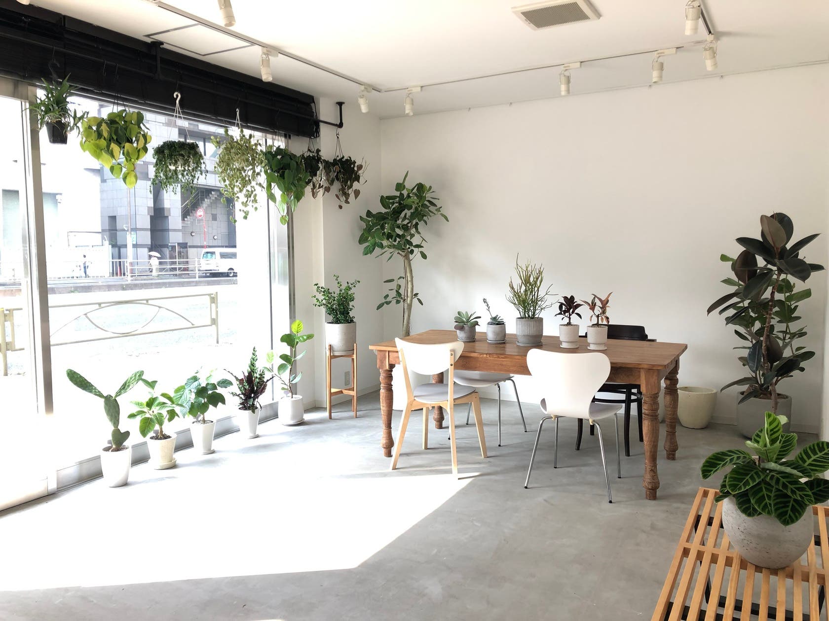 植物と古材のカウンターを基調としたお洒落な空間 キッチンスタジオ 女子会 ママ会 撮影などに スペースマーケット 植物と古材のカウンターを基調としたお洒落な空間 キッチンスタジオ 女子会 ママ会 撮影などに スペースマーケット
