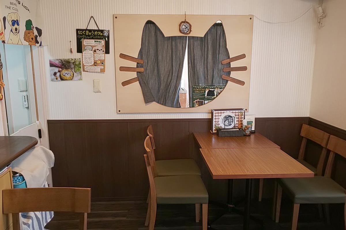 ペット可のドッグカフェでパーティーしよう スペースマーケット ペット可のドッグカフェでパーティーしよう スペースマーケット