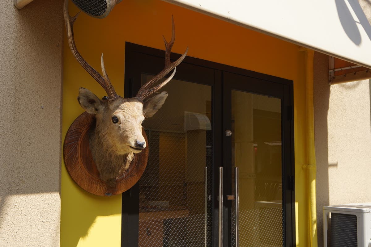 新宿近辺 東新宿 カフェ レストラン バー スタジオ カウンター有 スペースマーケット