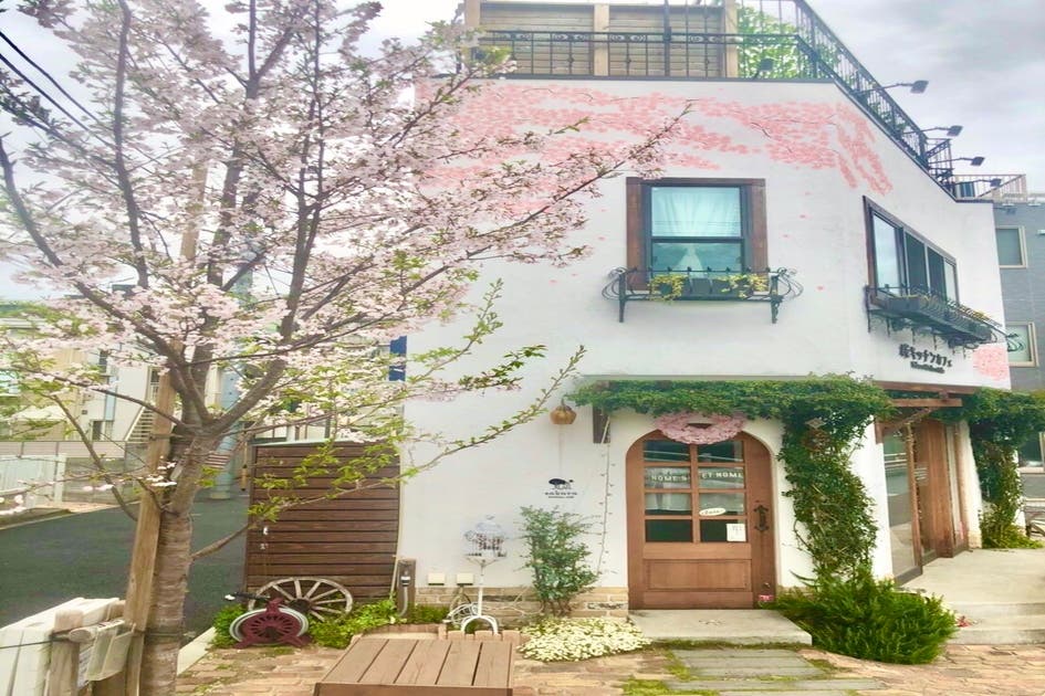 桜キッチンカフェ 屋上テラス付き 木の香る癒しの一軒屋 外庭でのprイベント カフェ貸し可 55inchtvモニター有り スペースマーケット