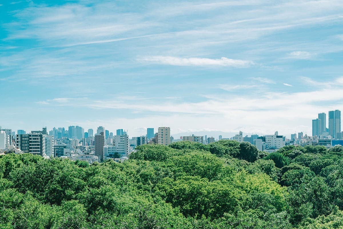 都内屈指の絶景ルーフトップ 六義園の森に浮かぶ高層ビル街が一望できます スペースマーケット 都内屈指の絶景ルーフトップ 六義園の森に浮かぶ高層ビル街が一望できます スペースマーケット