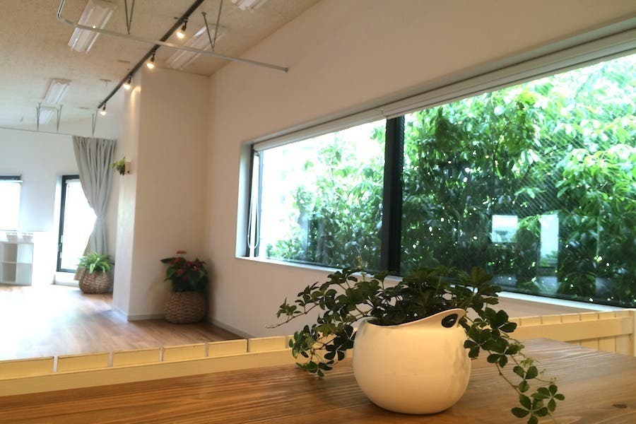 緑の見えるスポーツスタジオ ヨガ ダンス バレエ 撮影 会議などに スペースマーケット 緑の見えるスポーツスタジオ ヨガ ダンス バレエ 撮影 会議などに スペースマーケット