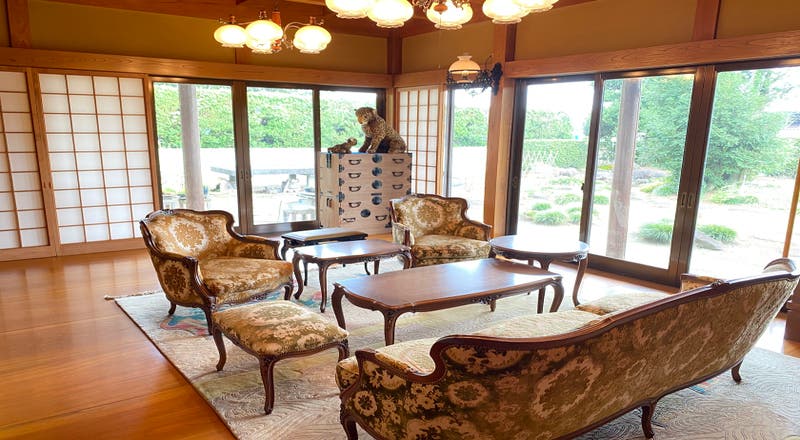 純和風家屋 和洋館風インテリア 部屋前は和園 写真撮影や作品展覧会に最適 の評価とレビュー スペースマーケット