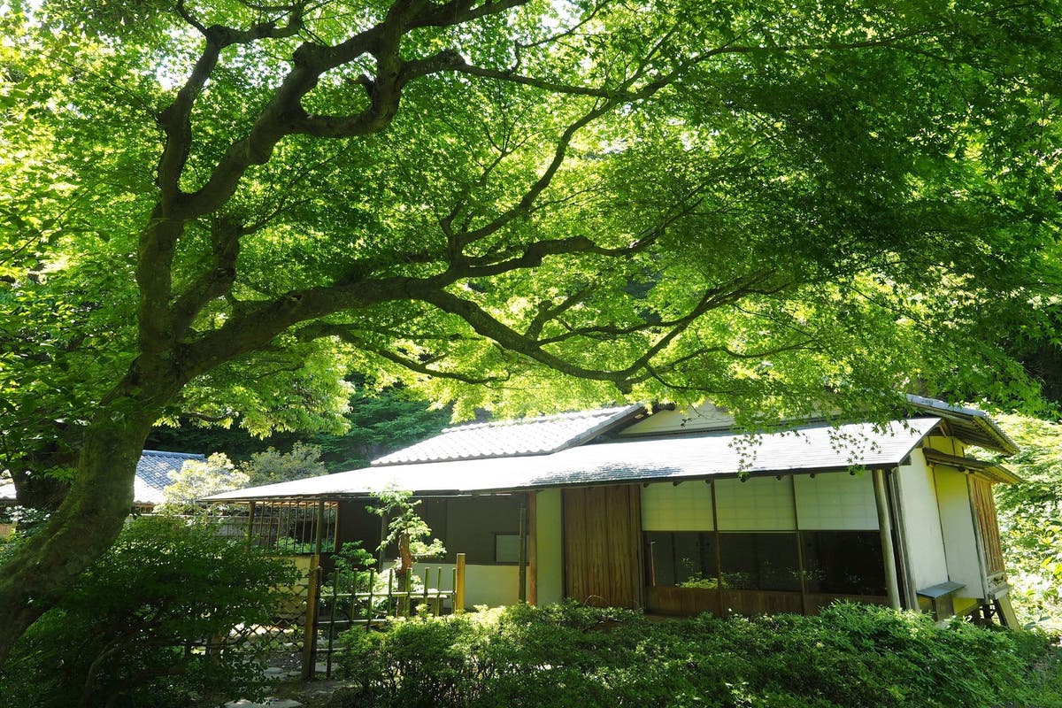鎌倉 本格茶室スペース 各種撮影 インバウンド 和の体験会 企業研修 各種展示会にも スペースマーケット