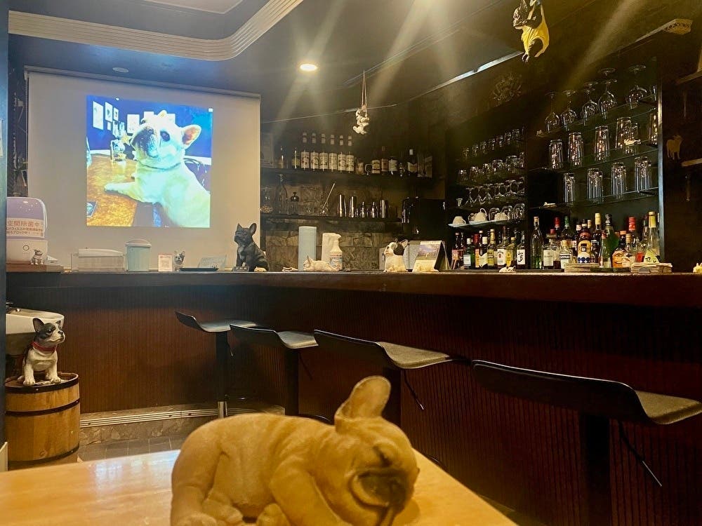 フレブルカフェ アンサンブル フレンチブルドッグに囲まれた癒し空間で 存分に楽しもう 18時から Cafe Barと スペースマーケット フレブルカフェ アンサンブル フレンチブルドッグに囲まれた癒し空間で 存分に楽しもう 18時から Cafe Barと スペースマーケット