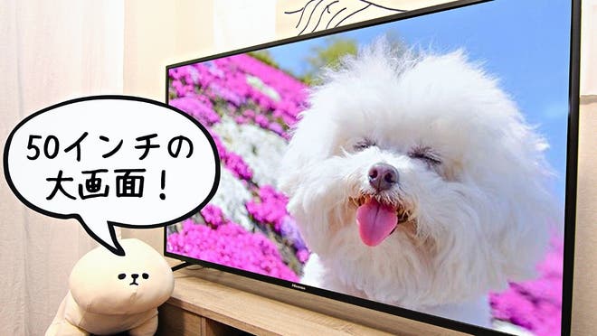 吉祥寺駅周辺 女子会におすすめのおしゃれな貸切レンタルスペースtop スペースマーケット 吉祥寺駅周辺 女子会におすすめのおしゃれな貸切レンタルスペースtop スペースマーケット