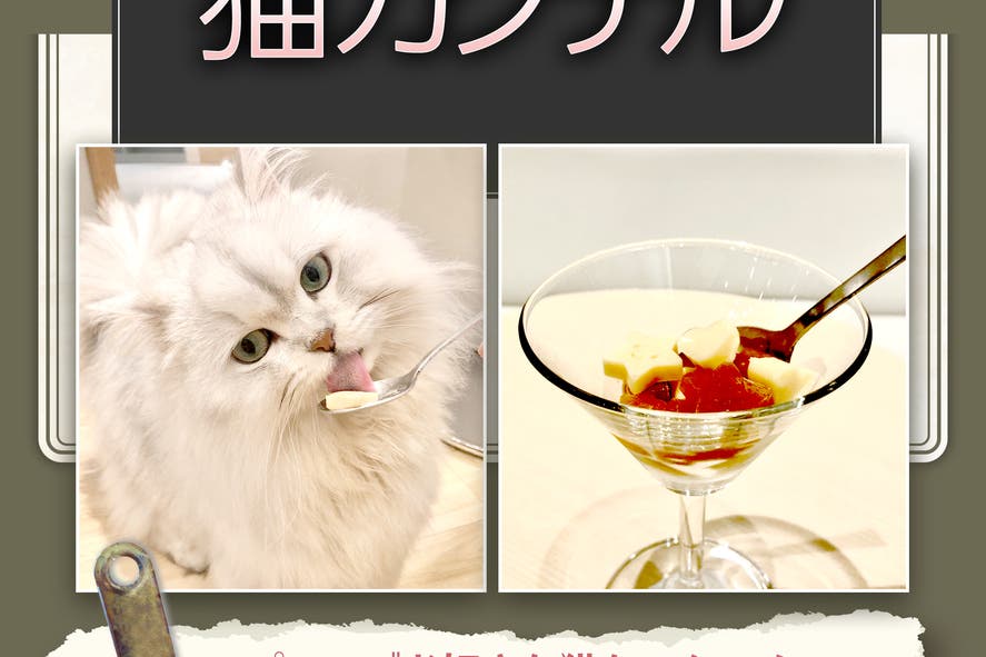 猫カフェ貸切 池袋西口徒歩1分 ごみ捨て可 30人まで可能 Wi Fi完備 ドリンクバー付 スペースマーケット 猫カフェ貸切 池袋西口徒歩1分 ごみ捨て可 30人まで可能 Wi Fi完備 ドリンクバー付 スペースマーケット