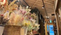 サウンドフラワー 京王稲城店 京王相模原線稲城駅直結の花屋 サウンドフラワー 京王稲城店 京王相模原線稲城駅直結の花屋