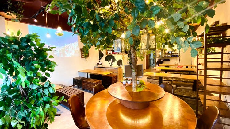 渋谷ガーデンスペース道玄坂店 渋谷駅2分 貸切グランピング 渋谷ガーデンスペース道玄坂店 渋谷駅2分 貸切グランピング