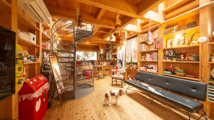 五反田×レンタルスペース×撮影 お店画像