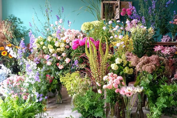 スタジオパラディ 花屋 フォトスタジオ 駅徒歩1分 南側全面ガラス張り 花のある空間で記念撮影 スペースマーケット スタジオパラディ 花屋 フォトスタジオ 駅徒歩1分 南側全面ガラス張り 花のある空間で記念撮影 スペースマーケット