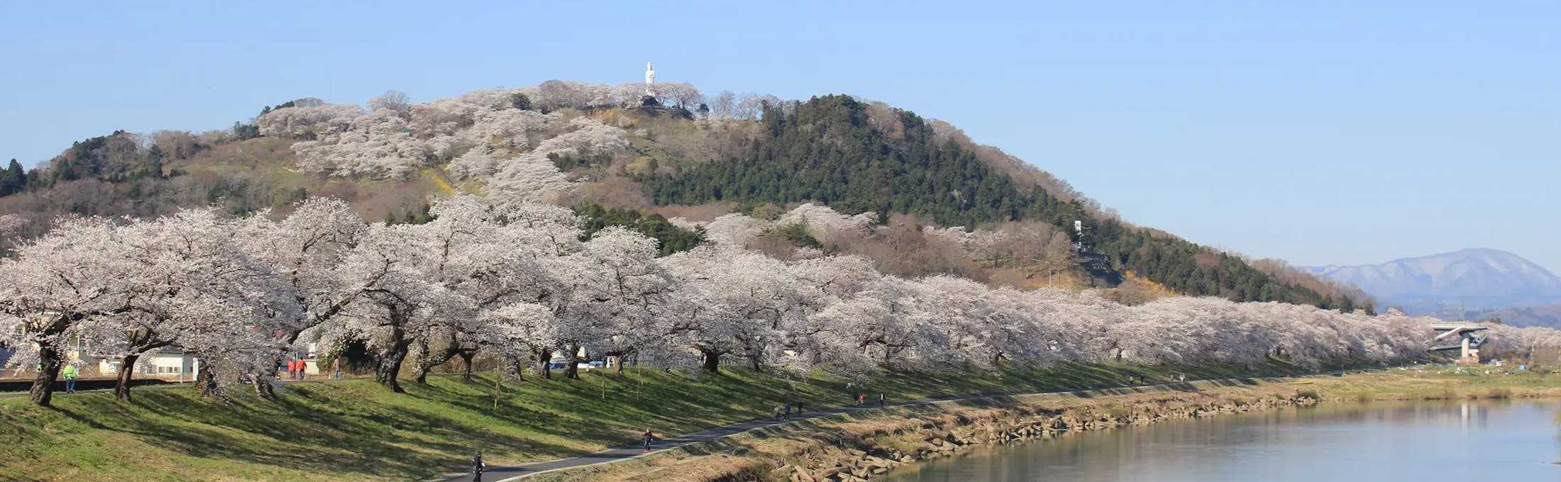 柴田町の写真