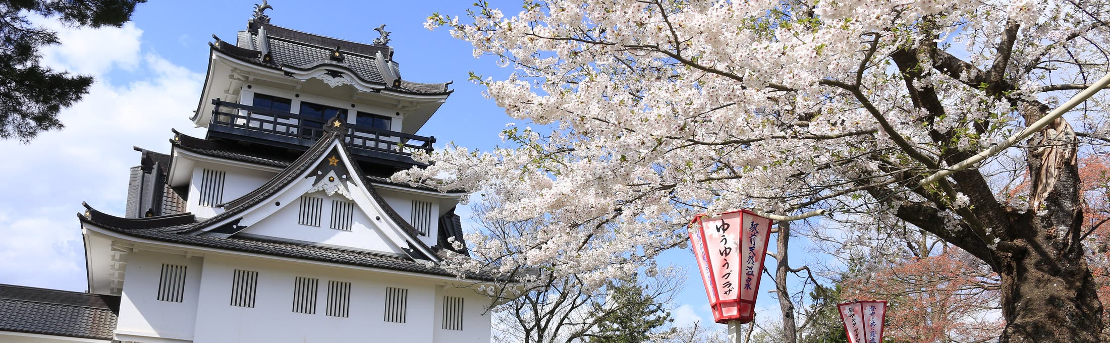 横手市の写真